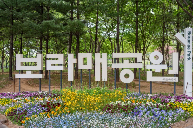  ::스물일곱 번째 공원:: 다양한 스포츠를 즐기고 넓은 잔디광장에서 산책도 할 수 있는 '보라매공원'