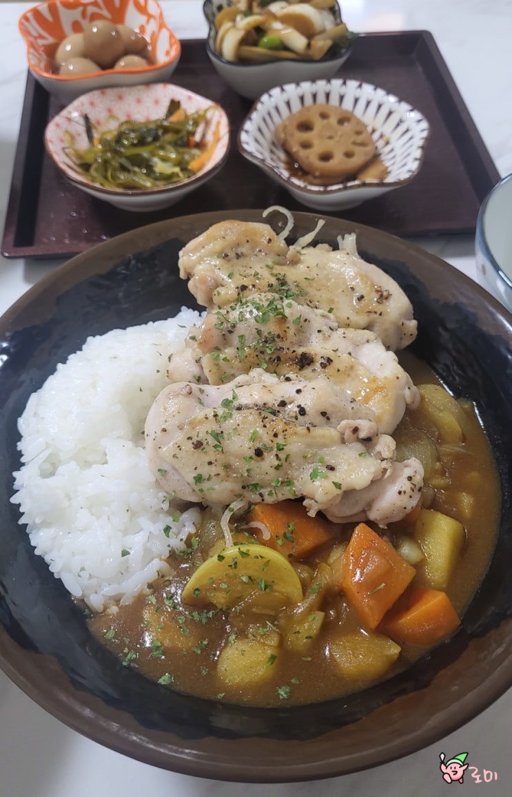  일본 카레 추천 SB 폰드보 디너 고체 카레 해먹기