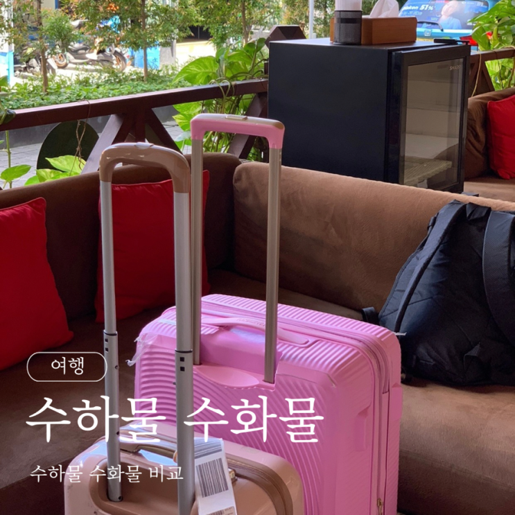  수하물 수화물