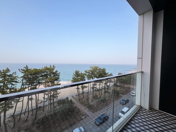  강릉 경포 호텔 추천 호텔큐브 오션뷰 후기