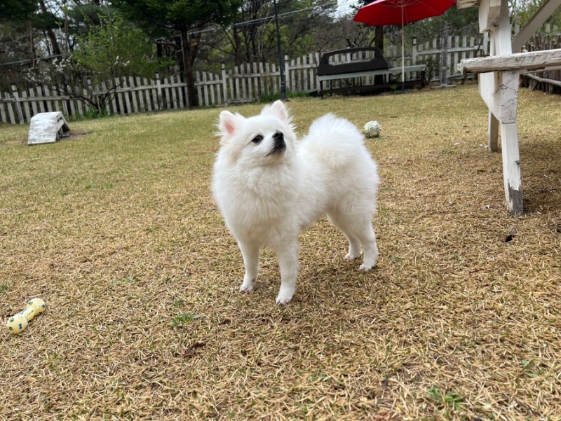 사진 8