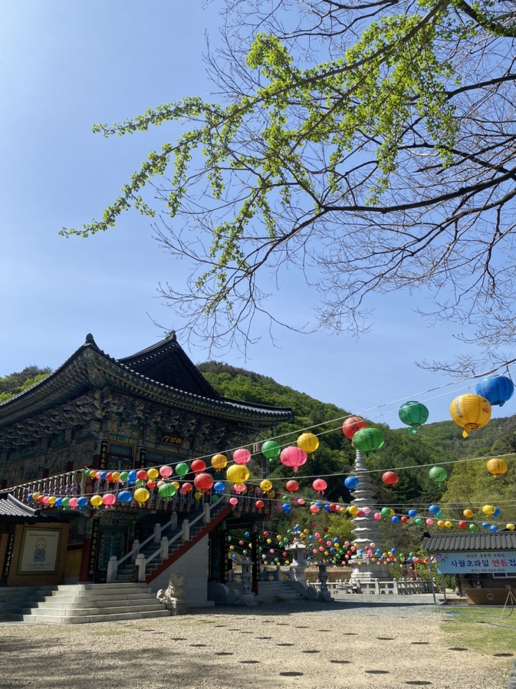  대구 수성구 가볼만한 산책코스 내관지 청계사