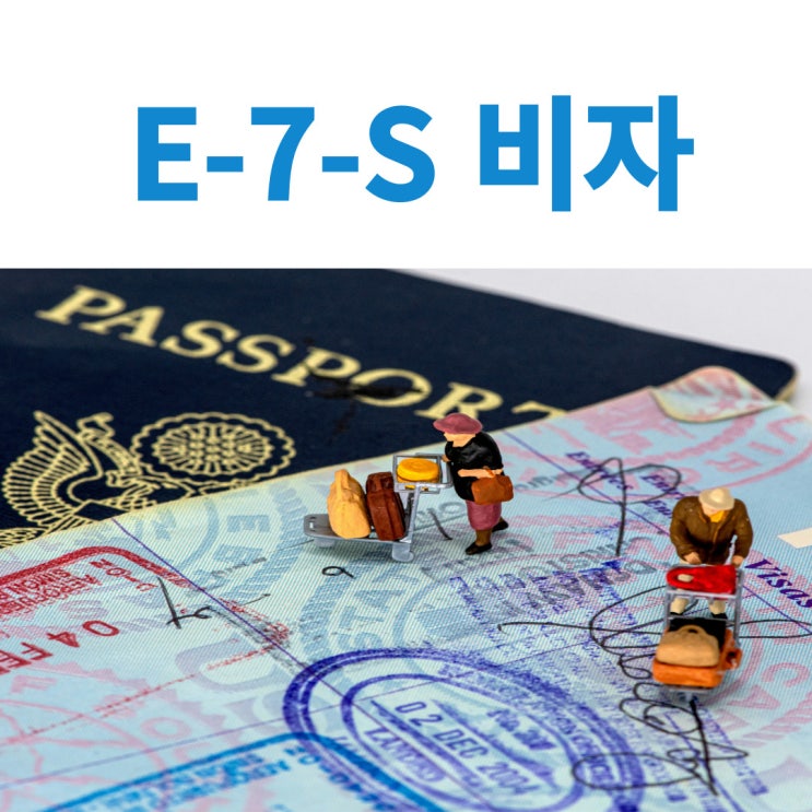  네거티브방식의 전문인력비자(E-7-S)가 무엇인가요?