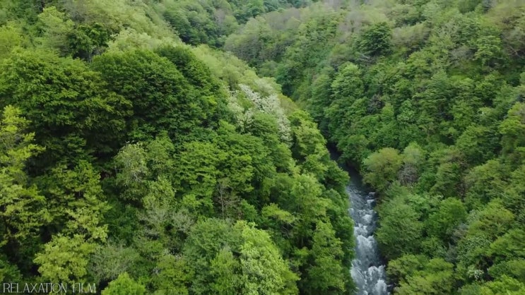  학점은행제 보육교사2급자격증 , 학은제로 조건없이 편하게 준비했던 전략