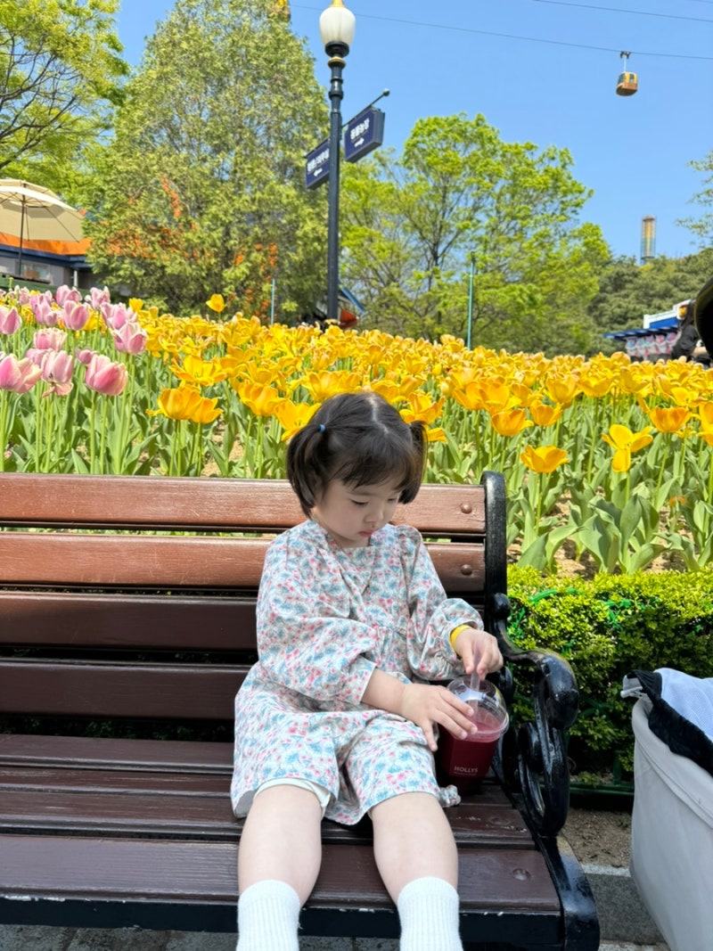 대구 이월드 아기랑 자유이용권 할인팁 유모차 웨건