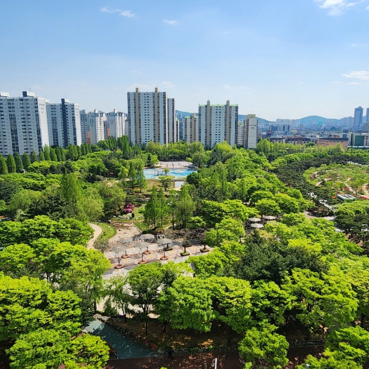  부천중앙공원 4월 풍경