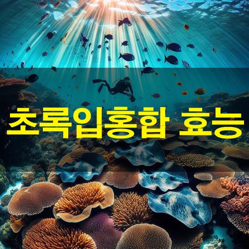  초록입홍합 효능 및 부작용 하루 권장량 과다 복용