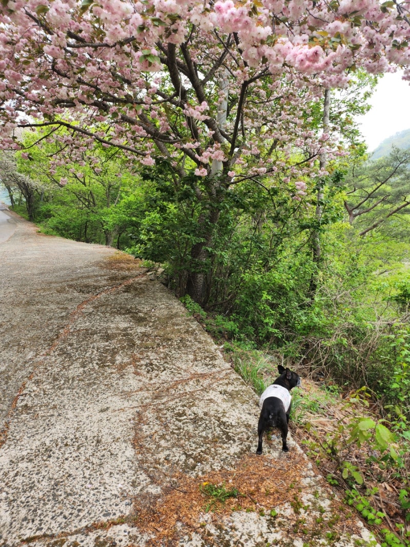 사진 10