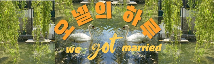  블로그 스킨 미리캔버스로 홈페이지형 무료제작 블로그꾸미기1탄