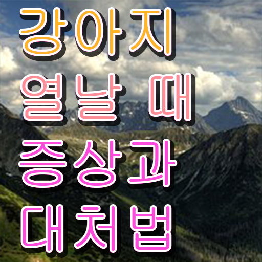  반려견훈련책 , 반려동물관리사 자격증 연봉, 취업정보 살펴보기