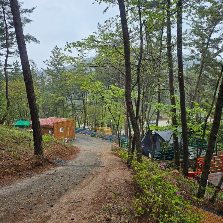 태안캠핑장 캠핑장 "올레유 캠핑장" 오토캠핑장 데크 산속 뷰