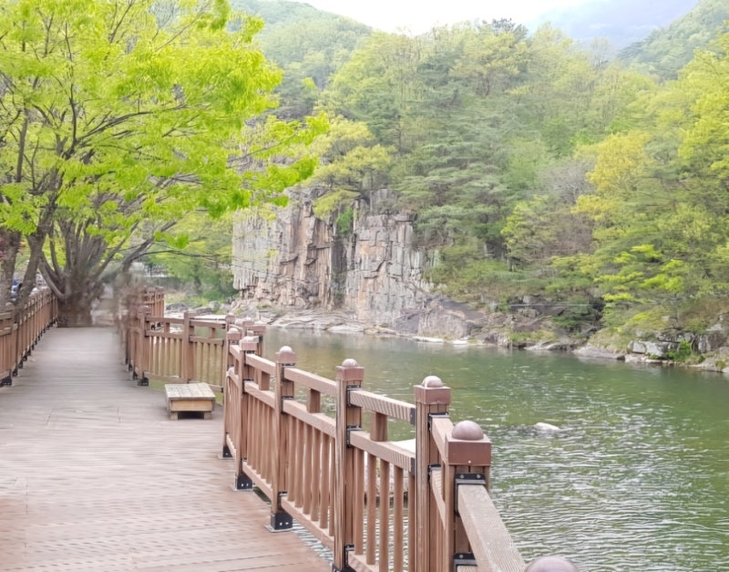 5월 단양 구경할 만한 곳 기암절벽 사인암과 출렁다리 계곡 산책로 : 네이버 블로그