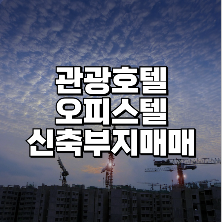 서울 메인상권 관광호텔 오피스텔 신축 부지 매매