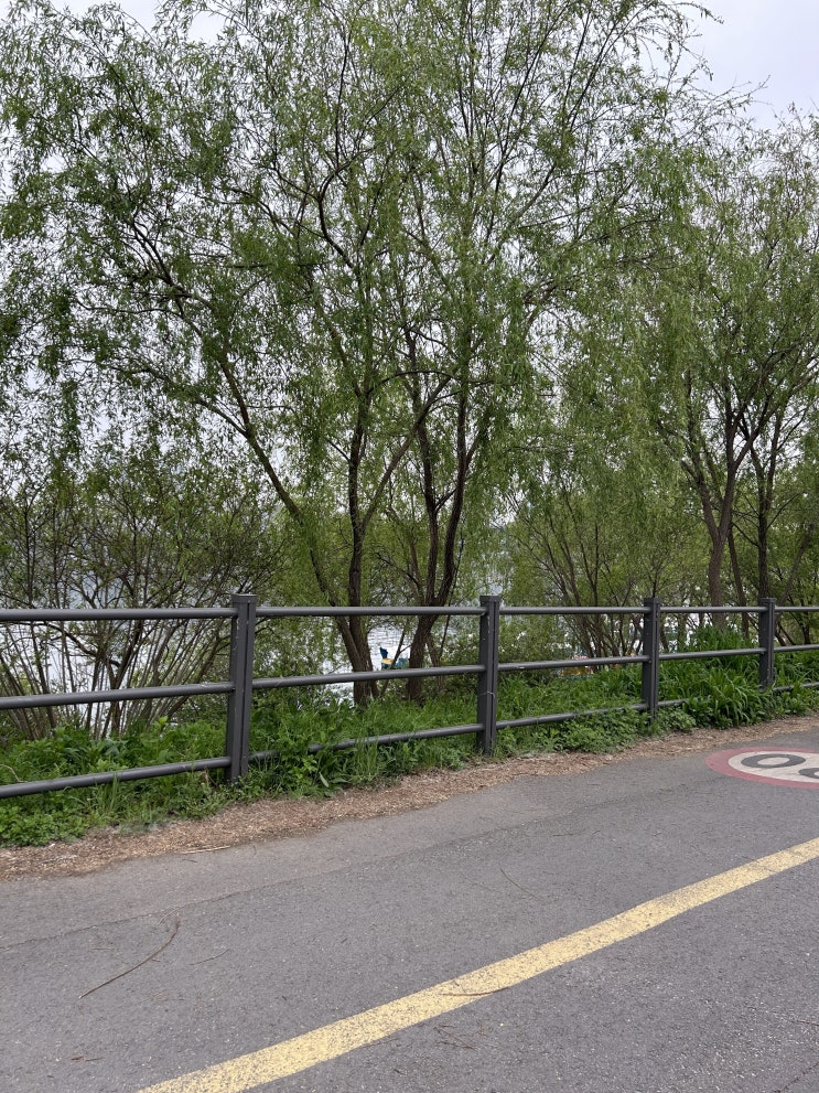  제16회 2024 여명국제마라톤 5km 완주 후기