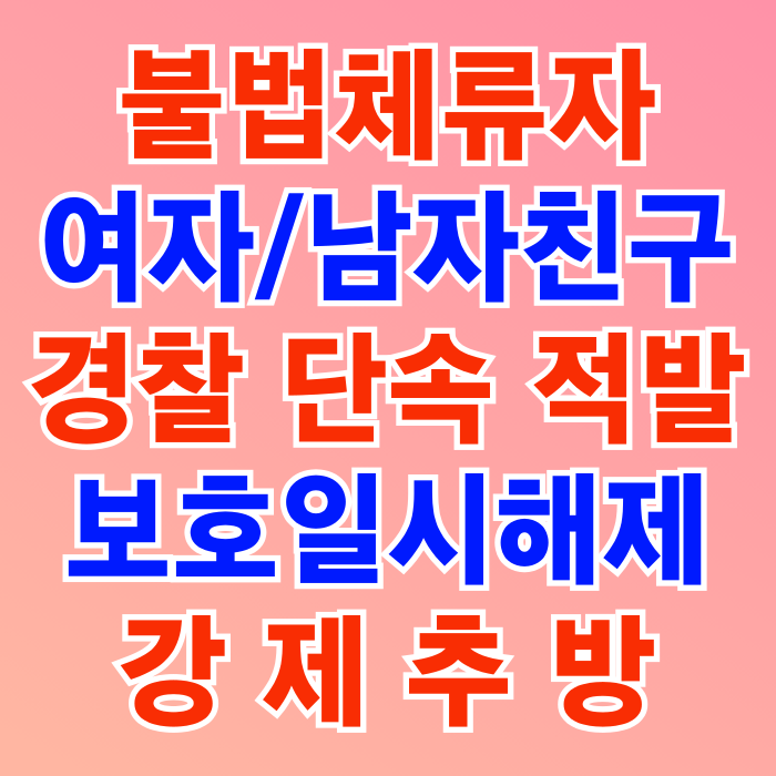 불법체류자 단속 강제퇴거명령(추방)_보호일시해제 해결방안(태국 중국 베트남 필리핀 이집트 몽골 러시아 우즈베키스탄 카자흐스탄 등) 불법체류자 단속 강제퇴거명령(추방)_보호일시해제 해결방안(태국 중국 베트남 필리핀 이집트 몽골 러시아 우즈베키스탄 카자흐스탄 등)