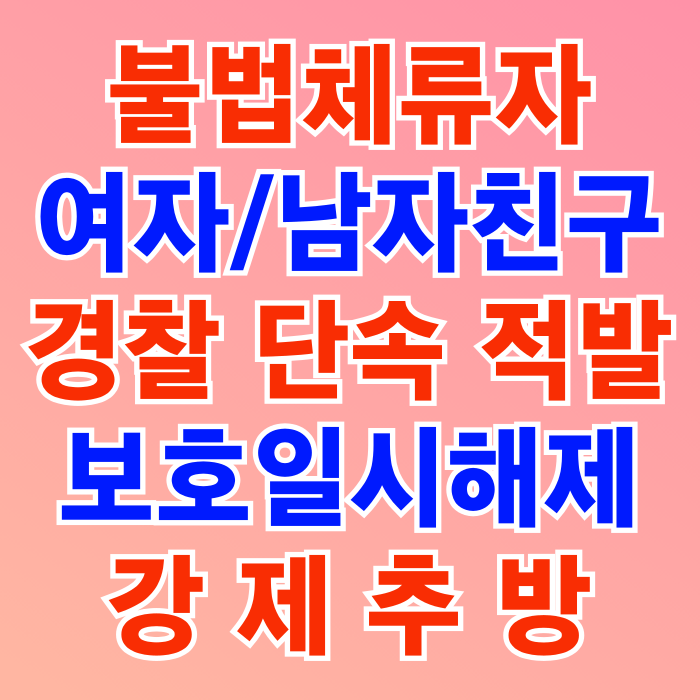 불법체류자 단속 강제퇴거명령(추방)_보호일시해제 해결방안(태국 중국 베트남 필리핀 이집트 몽골 러시아 우즈베키스탄 카자흐스탄 등)