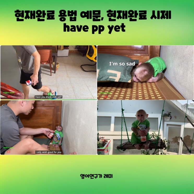 현재완료 용법 예문, 현재완료 시제 have pp yet