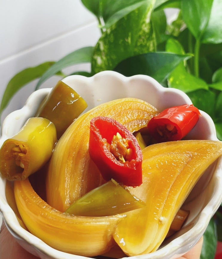  햇양파장아찌 담그는법 짜지 않은 간장 비율로 만드는법 양파고추장아찌 만들기 양파장아찌 레시피