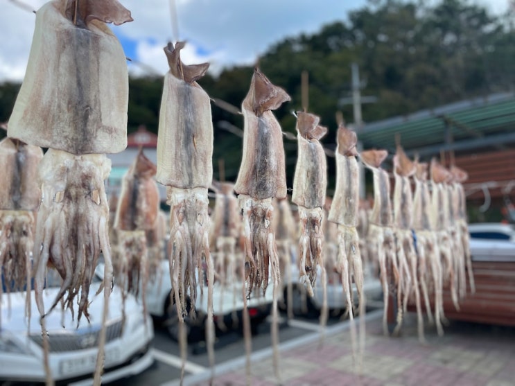  말린 오징어 술을 넣은 물에 씻어 구우면 끝내줘