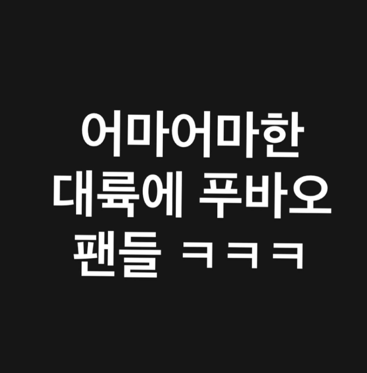  어마어마한 대륙의 푸바오 팬들