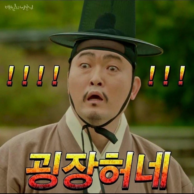  메타 페스티스트와 모죽의 성장 과정
