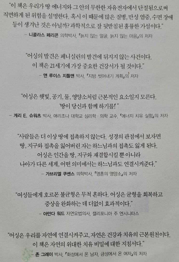 어싱Earthing, 땅과의 접촉이 치유한다 - 클린턴 오버, 스티븐... 