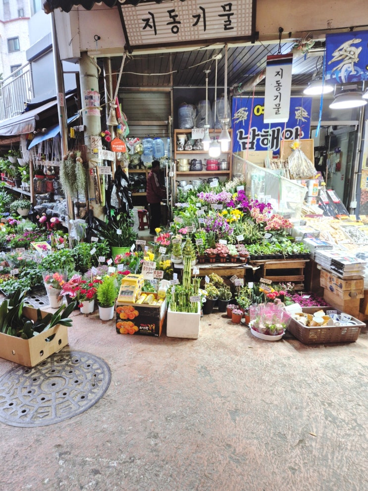  수원 재래시장 구경! 지동시장, 영동시장, 팔달문시장: 개미지옥