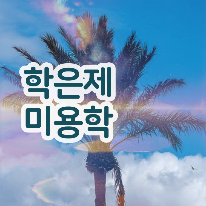  헤어디자이너 자격증 , 미용면허증 학위, 경력 없이도 딸 수 있었어요
