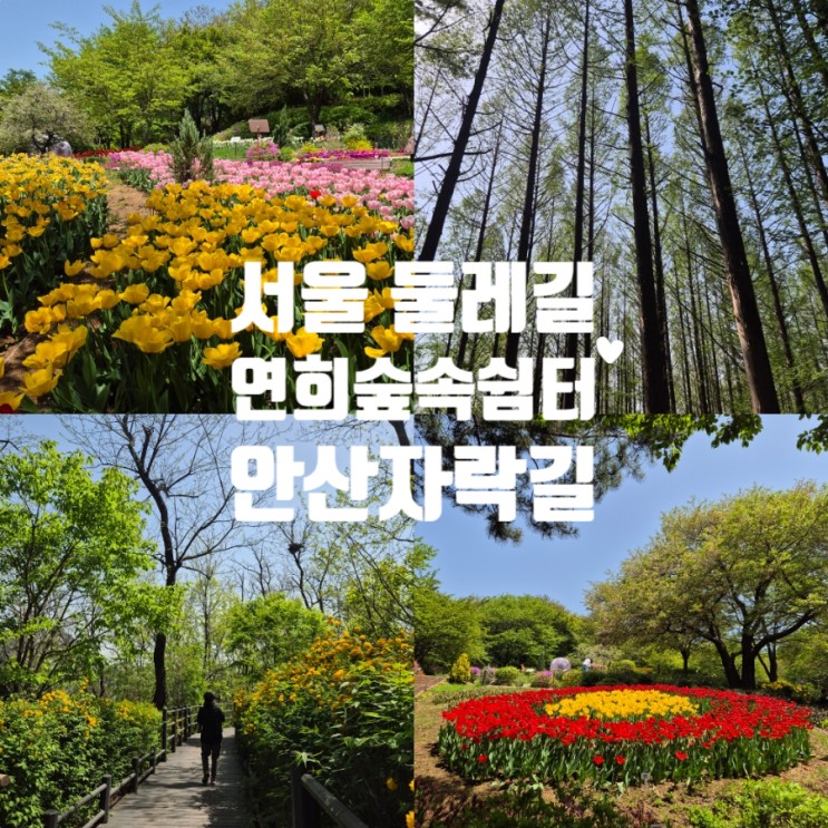 서울 서대문 가볼만한곳 연희숲속쉼터 산책하기좋은 둘레길 안산자락길 초보코스