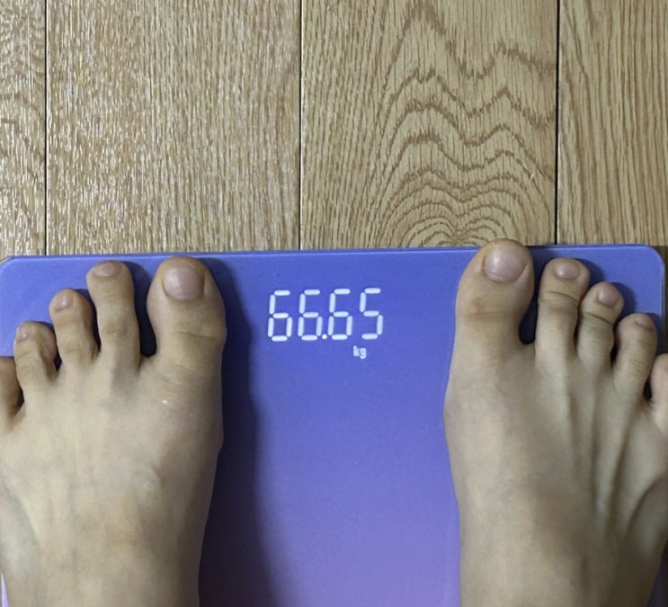  D+6,7 다이어트기록
