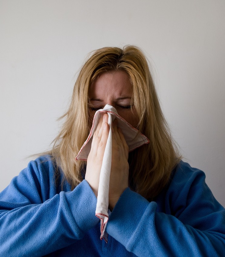 알레르기성 비염에 대한 MSM효능 연구
