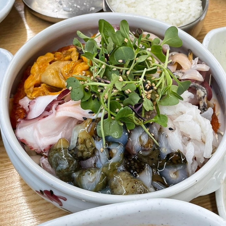  속초 3대 현지인 물회 맛집 추천 속초항아리물회 속초아이