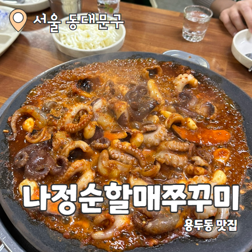  나정순할매쭈꾸미 : 용두동맛집 쭈꾸미계 원탑 내돈내산 후기