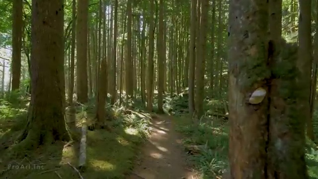  무료심리상담사자격증 , 심리상담사 자격증 인기있는 이유 알아보기