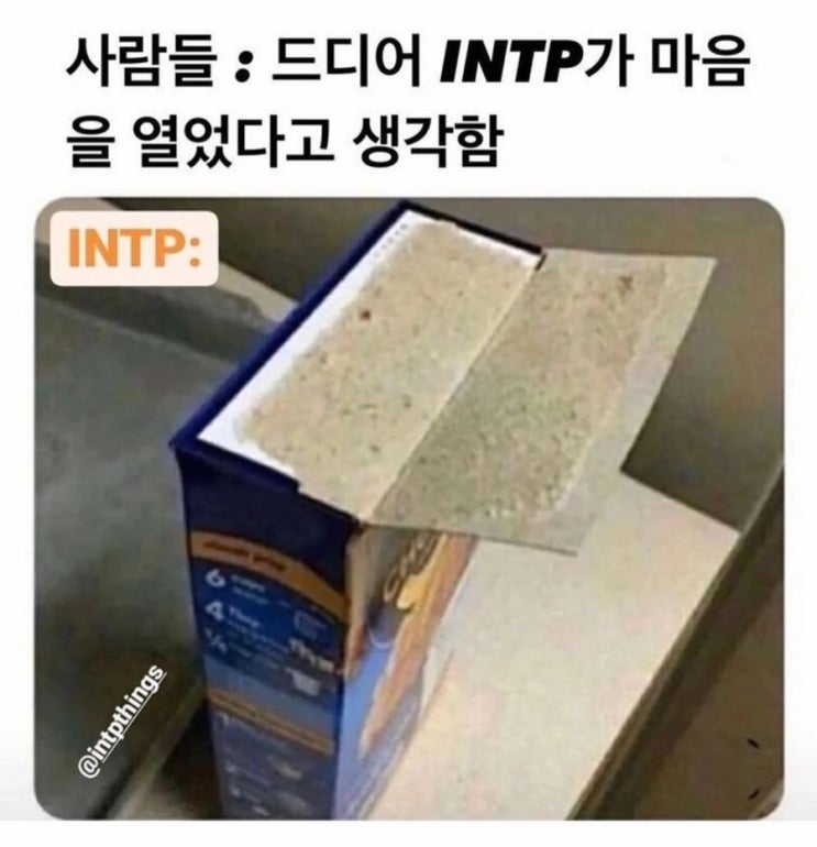 [INTP 관찰일기] 인팁의 바운더리에 들어가다 - 1. 프롤로그