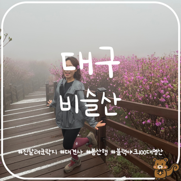 아쉬움이 남았던 대구 비슬산 진달래군락지 등산 후기 아쉬움이 남았던 대구 비슬산 진달래군락지 등산 후기