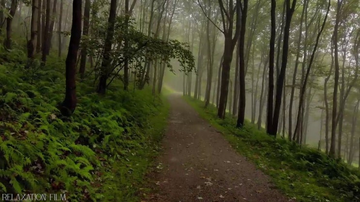  조경산업기사 필기 , 조경산업기사 시험응시조건 대학진학, 경력없이 온라인 과정만으로 최단기간 끝낼수 있었던 방법