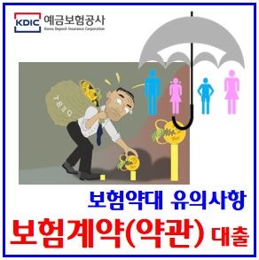 보험계약대출 유의사항 (feat. 약대) : 약관, 이자, 신용, 상환, 해약환급금, 해지, 이율, 예정공....
