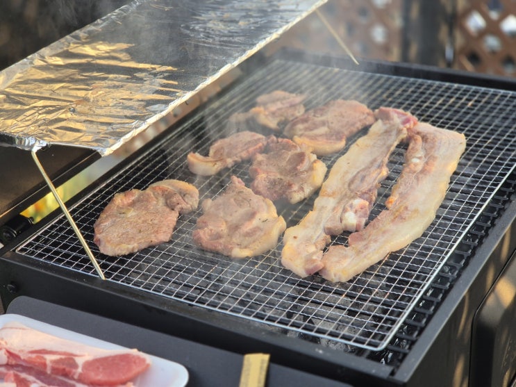  청주 애견 동반 식당, 우리 강아지랑 같이 저녁을 : 루프독 바베큐
