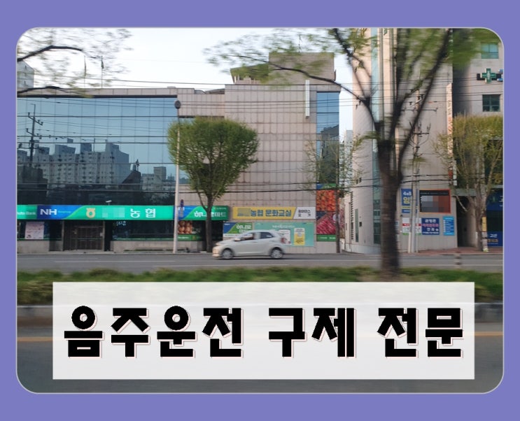  음주운전 수치 혈중알코올농도 0.095 0.096 0.097 0.098 0.099% 면허는 취소됩니다