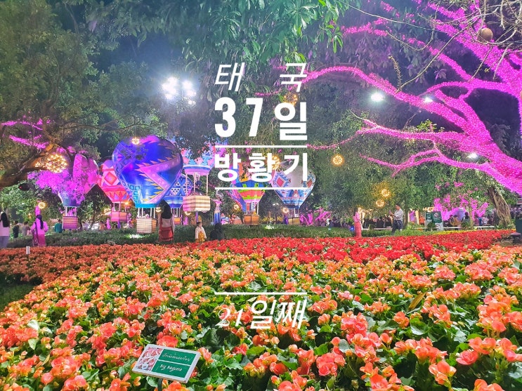  [태국 37일간의 방황기] 21일째 Nanthaka Rice Porridge 죽 맛집 yard café 치앙라이 꽃축제 토요야시장