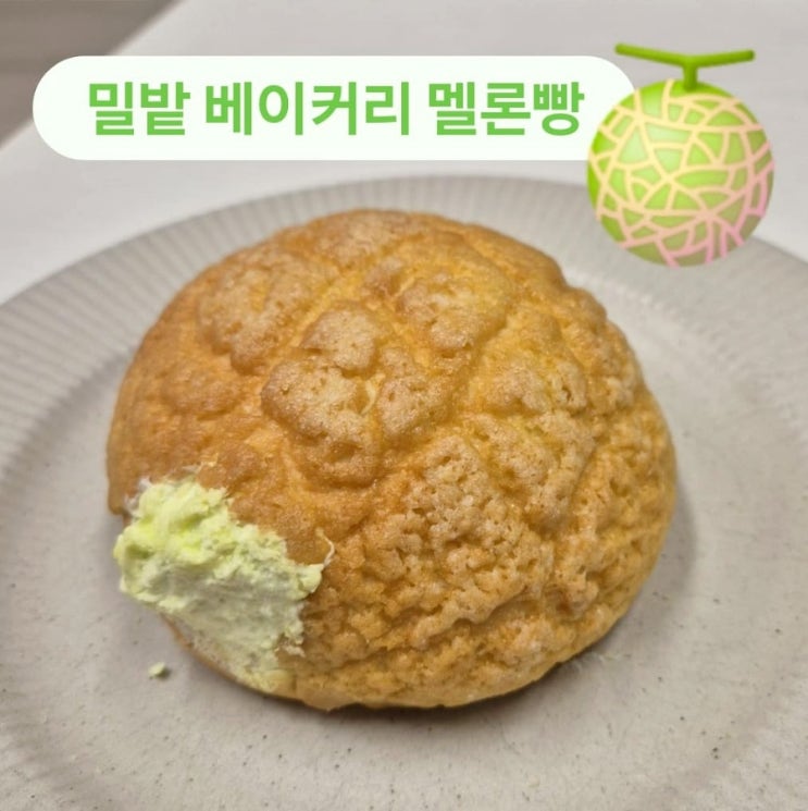  대구 3대 빵집 밀밭 베이커리 미인빵 멜론빵 빵지순례