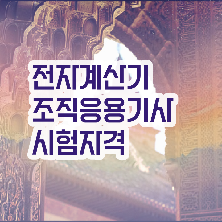  전자계산기조직응용기사 필기문제 전자계산기조직응용기사 시험자격 관련학과 졸업장 없어도 온라인 과정만으로 손쉽게 충족시킨 팁