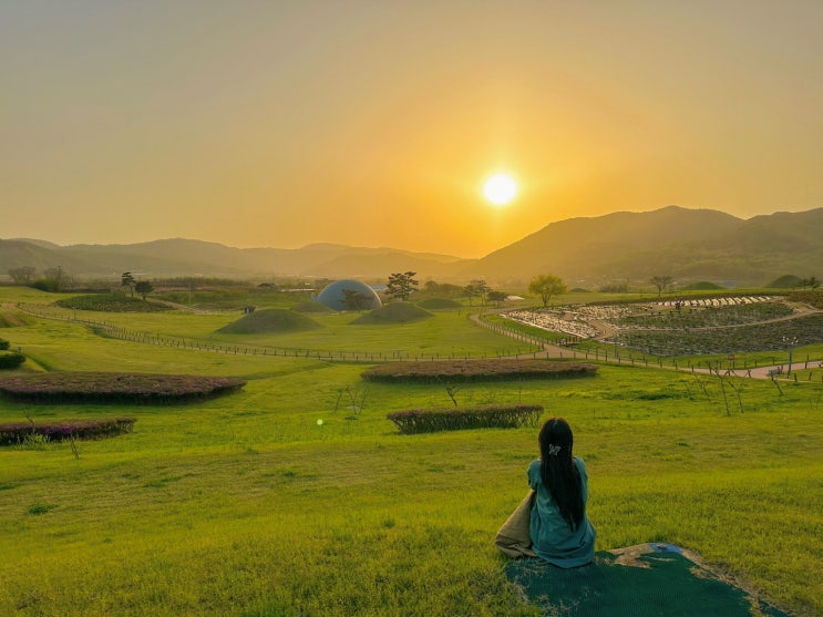 의성 가볼만한곳 고운사, 조문국 사적지 박물관, 작약꽃, 마늘통닭 ️ 의성 가볼만한곳 고운사, 조문국 사적지 박물관, 작약꽃, 마늘통닭 ️