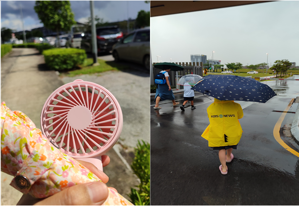  말레이시아 쿠칭 국제학교 등하교 시 자동차가 없어도 될까?