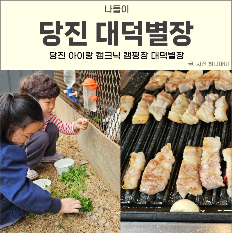 사진 3