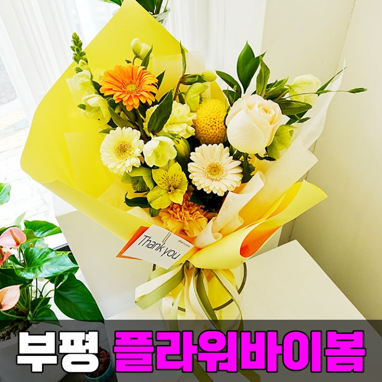  부평 꽃집 부개동 플라워바이봄 어버이날 카네이션도 예쁠 듯