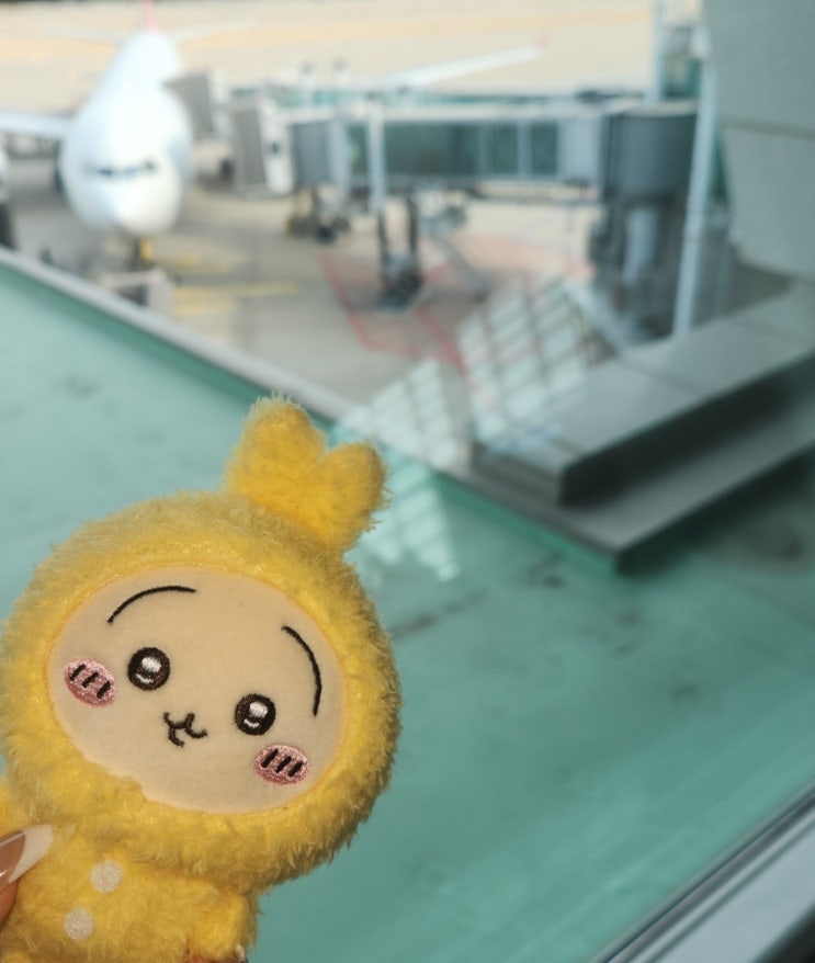  어서오세요 예린의 숲