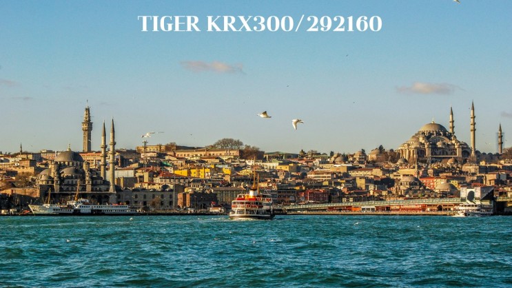 TIGER KRX300/292160