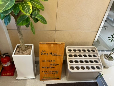 사진 10